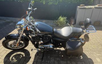 Harley Davidson - 1200 SPORTSTER CUSTOM - XL (3 di 4)