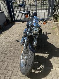 Harley Davidson - 1200 SPORTSTER CUSTOM - XL (4 di 4)