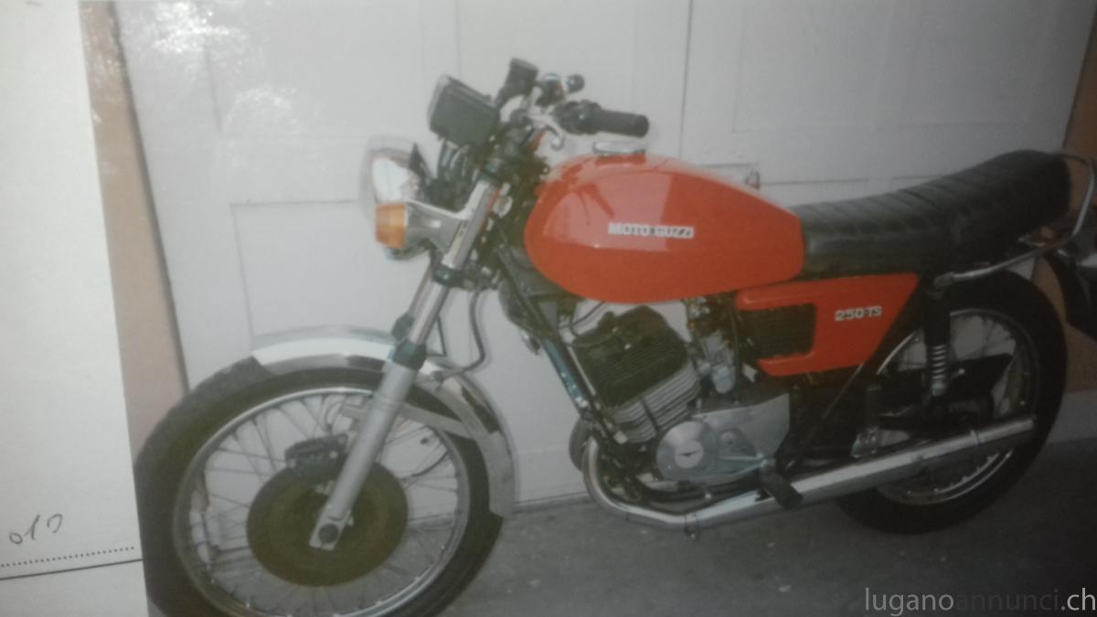 Moto Guzzi - TS 250
