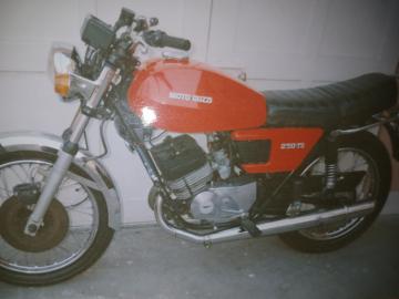 Moto Guzzi - TS 250 (4 di 4)