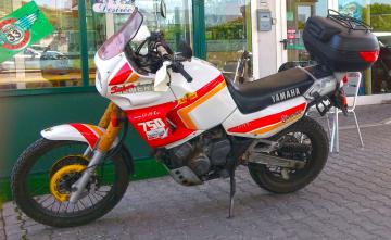 Yamaha - XTZ 750 SUPERTÉNERÉ (1 di 3)