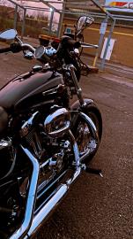 Harley Davidson - 1200 SPORSTER CUSTOM (3 di 6)