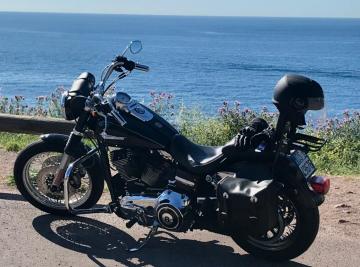 Harley Davidson - DYNA (2 di 5)