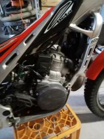 Betamotor - EVO 2T (2 di 2)