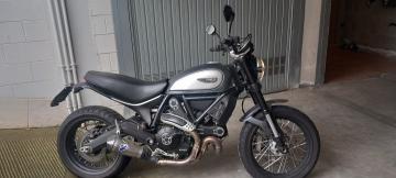 Ducati - SCRAMBLER 800 (7 di 10)